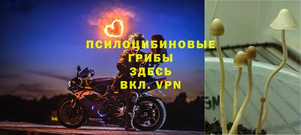 амф Алексин