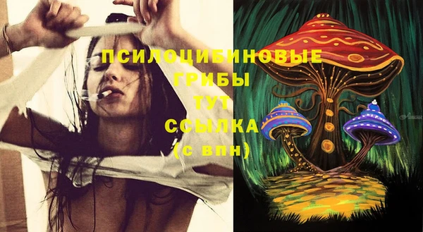 прущий лед Алексеевка
