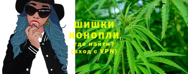 амф Алексин