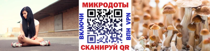 кракен вход  Липки  Псилоцибиновые грибы MAGIC MUSHROOMS 